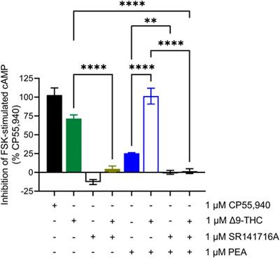 Modulation of type 1 cannabinoid receptor activity by cannabinoid by-products from Cannabis sativa and non-cannabis phytomolecules